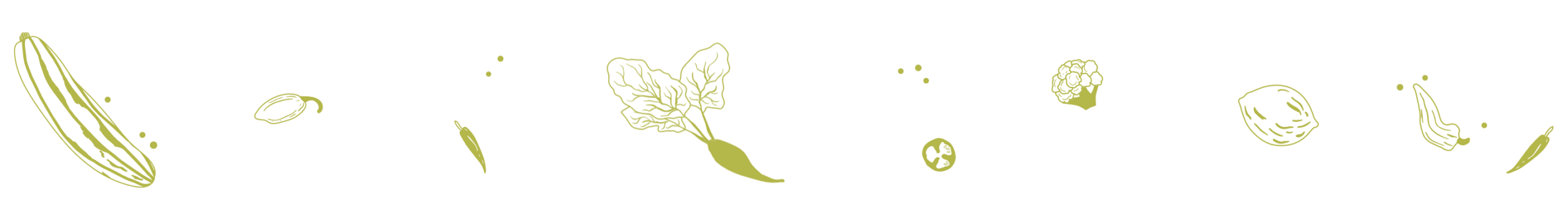 Wanderausstellung Homepage Gemüse 2